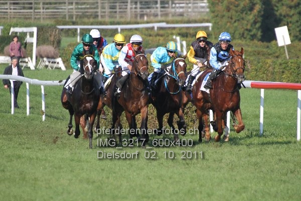 IMG 3217 600x400 prot
