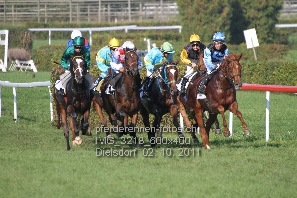 IMG 3218 600x400 prot
