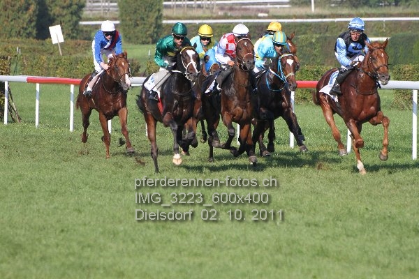 IMG 3223 600x400 prot