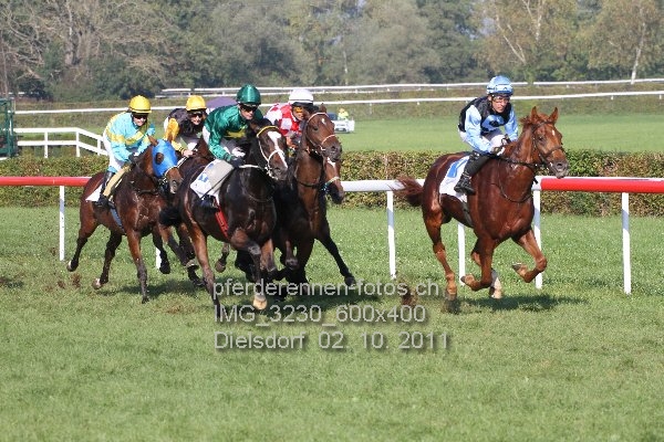 IMG 3230 600x400 prot