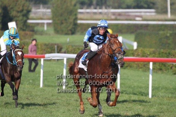 IMG 3238 600x400 prot