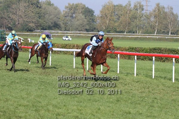 IMG 3242 600x400 prot