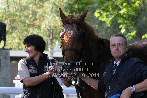 IMG 3265 600x400 prot