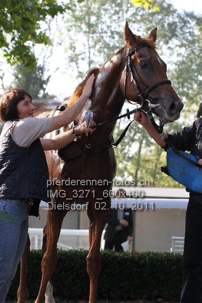 IMG 3271 600x400 prot