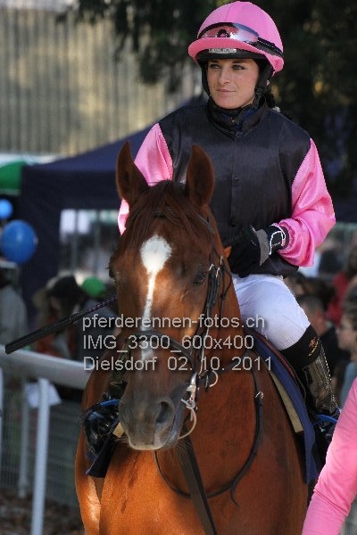 IMG 3300 600x400 prot