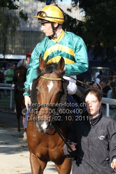 IMG 3306 600x400 prot