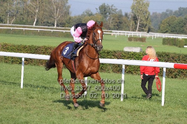 IMG 3327 600x400 prot