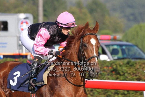 IMG 3329 600x400 prot