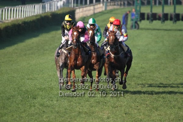 IMG 3352 600x400 prot