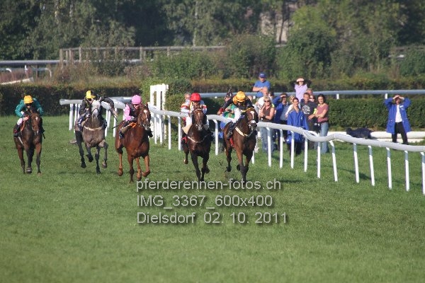 IMG 3367 600x400 prot