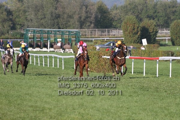 IMG 3375 600x400 prot