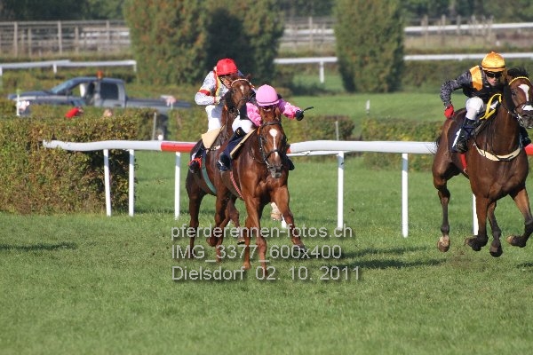 IMG 3377 600x400 prot