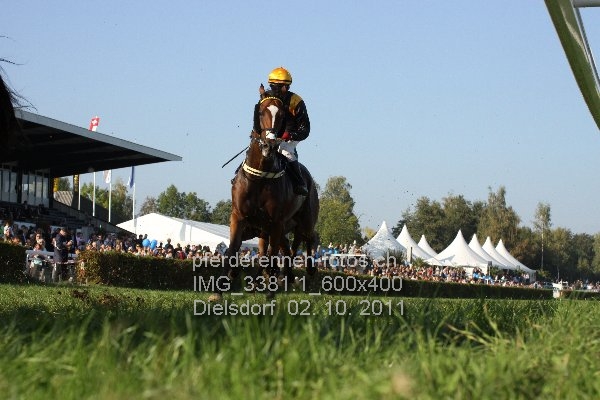 IMG 3381.1 600x400 prot