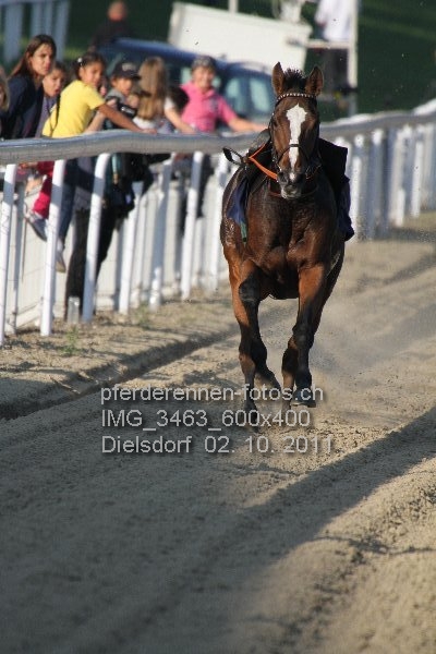 IMG 3463 600x400 prot