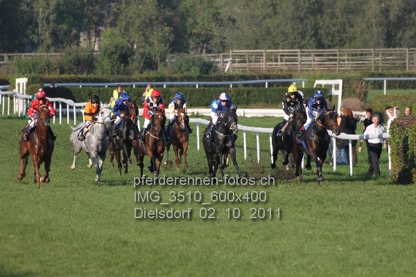 IMG 3510 600x400 prot