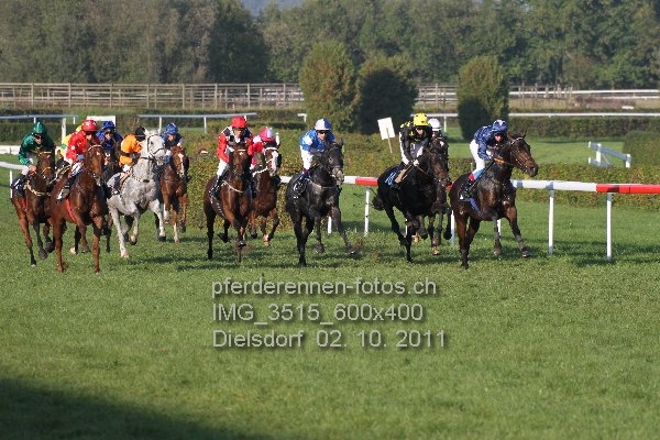 IMG 3515 600x400 prot