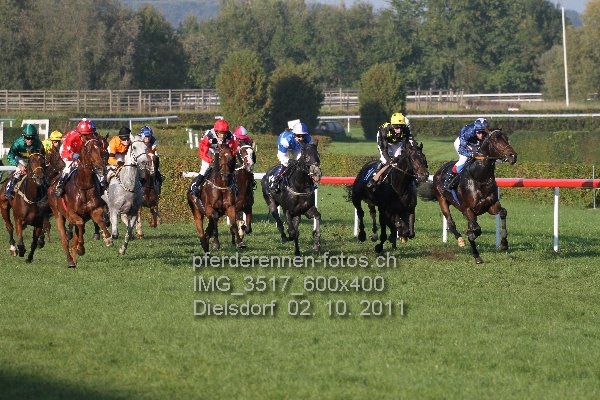 IMG 3517 600x400 prot