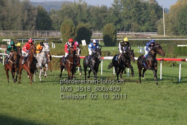 IMG 3518 600x400 prot