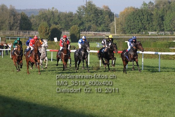 IMG 3519 600x400 prot