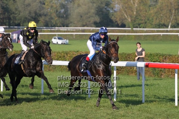 IMG 3523 600x400 prot