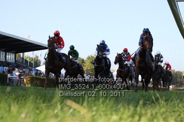 IMG 3524.1 600x400 prot