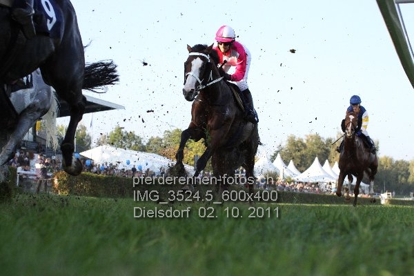 IMG 3524.5 600x400 prot