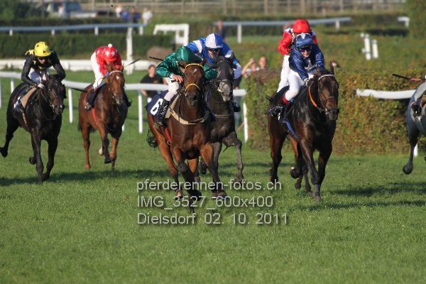 IMG 3527 600x400 prot