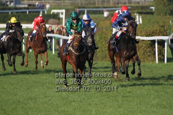 IMG 3528 600x400 prot