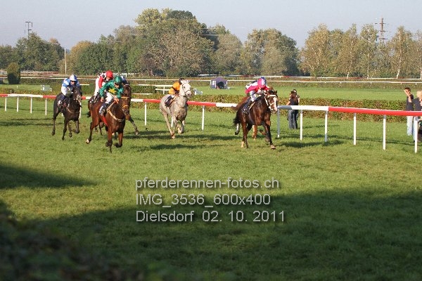 IMG 3536 600x400 prot