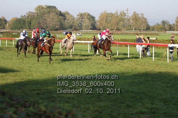 IMG 3538 600x400 prot