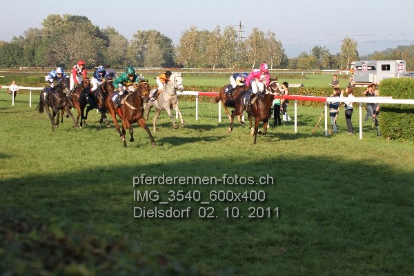 IMG 3540 600x400 prot