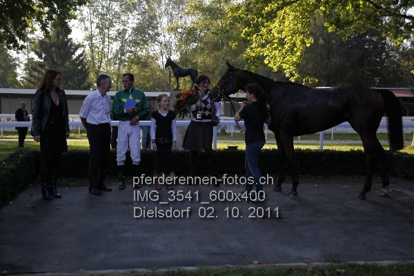 IMG 3541 600x400 prot