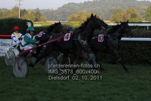 IMG 3578 600x400 prot