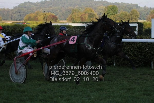 IMG 3579 600x400 prot