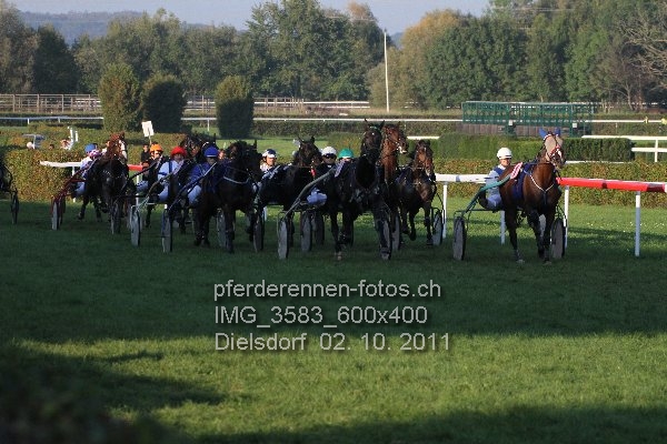 IMG 3583 600x400 prot