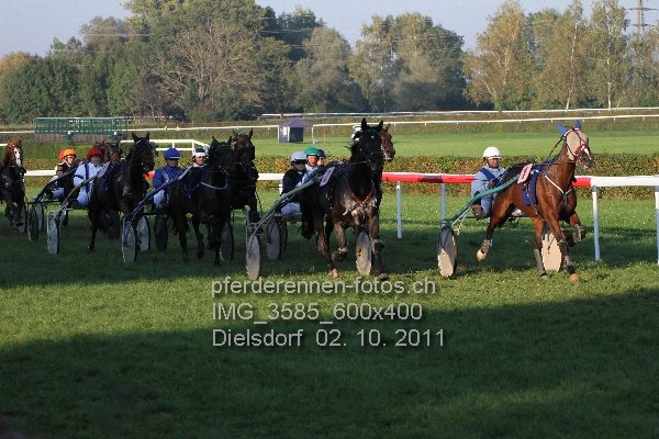 IMG 3585 600x400 prot