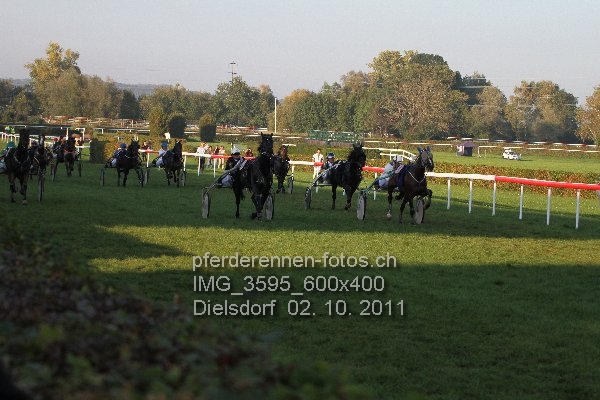 IMG 3595 600x400 prot