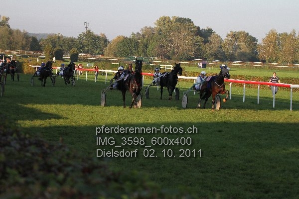 IMG 3598 600x400 prot