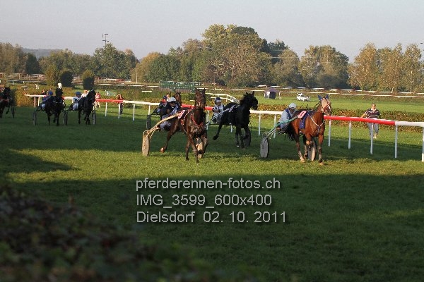 IMG 3599 600x400 prot