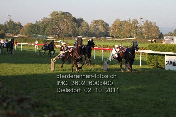 IMG 3602 600x400 prot