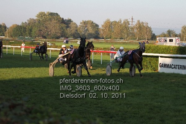 IMG 3603 600x400 prot