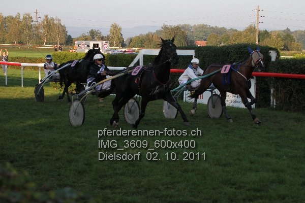IMG 3609 600x400 prot