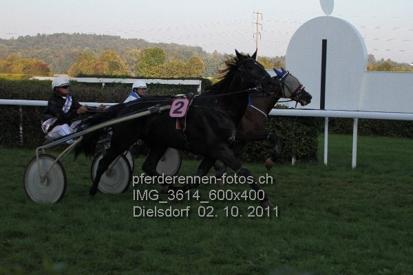 IMG 3614 600x400 prot