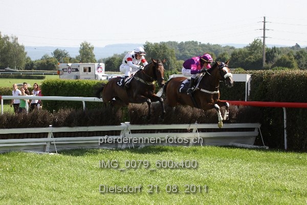 IMG 0079 600x400 prot
