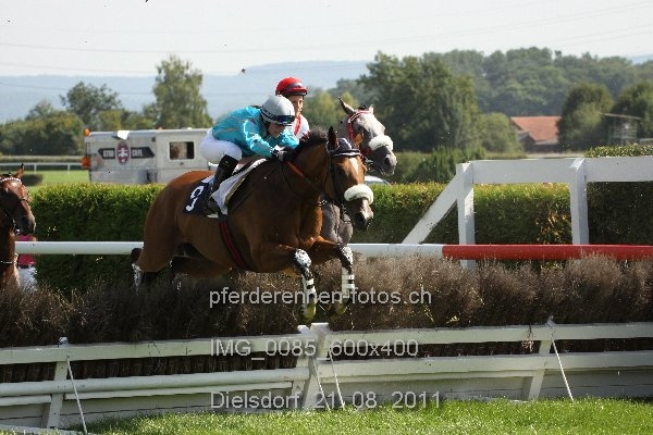 IMG 0085 600x400 prot
