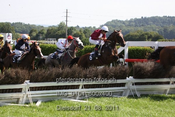 IMG 0104 600x400 prot