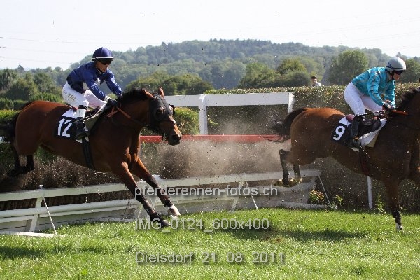 IMG 0124 600x400 prot