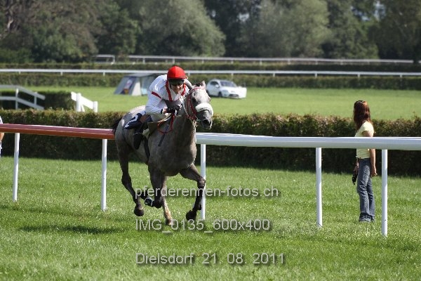 IMG 0135 600x400 prot
