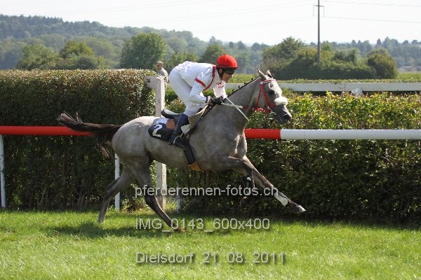 IMG 0143 600x400 prot