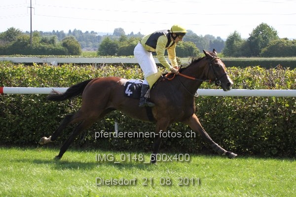 IMG 0148 600x400 prot